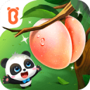 2万名跑友燃动全城，清远马拉松赛规模创历史新高